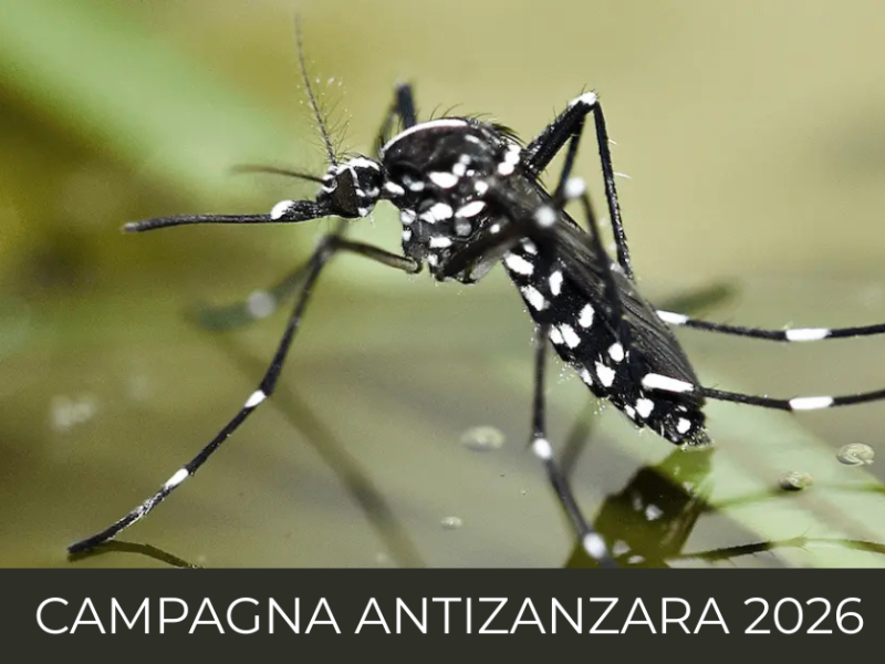 Prende il via l'1 aprile la campagna antizanzara 2026