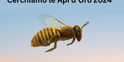 Cerchiamo-le-Api-dOro-2024
