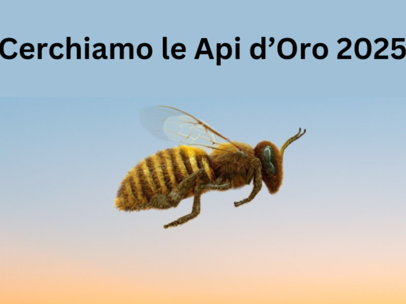 Il Comune cerca le "Api d'Oro 2025"
