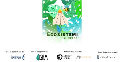 ECOsistemi al Verde