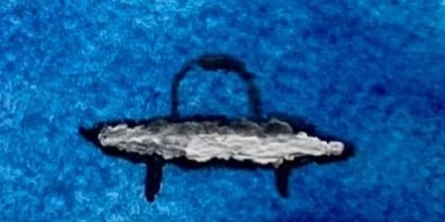 Concerto per Paolo 13 marzo 2026