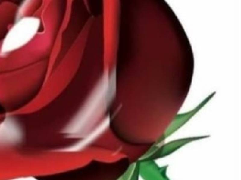 Torna il Maggio musicale