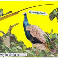 Meraviglie della natura (2024)