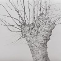 Mostra di Paolo Ceretti Mostra di Paolo Ceretti