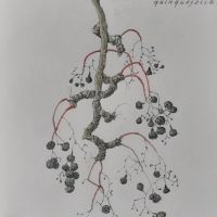 Mostra di Paolo Ceretti Mostra di Paolo Ceretti