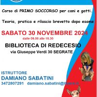 Pet First Aid