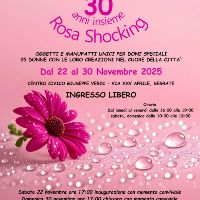 Rosa Shocking 2025 Rosa Shocking 2025