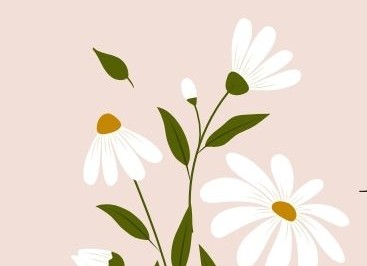 Maestre seconda edizione